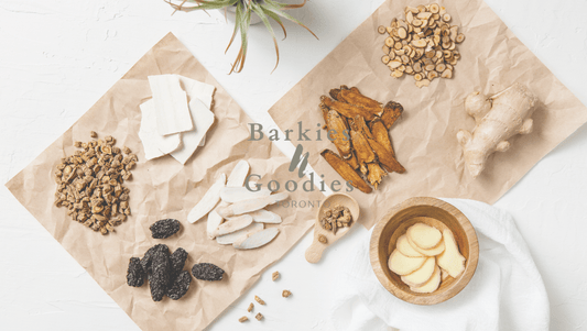 Understanding TCM for Pets: A Gentle Introduction to Traditional Chinese Medicine-Inspired Treats for Dogs and Cats - BarkiesNGoodies