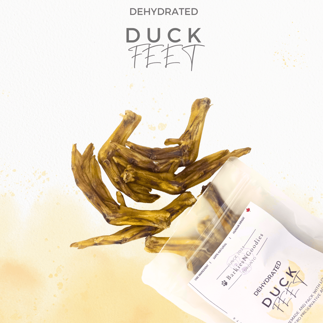 100% Natural Duck Feet - Air Dried | Nutritious Treats for Dogs - BarkiesNGoodies