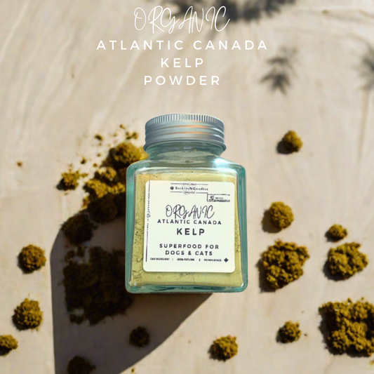 [Pre-Order] Organic Atlantic Canada Kelp Powder - Superfood for Dogs and Cats
