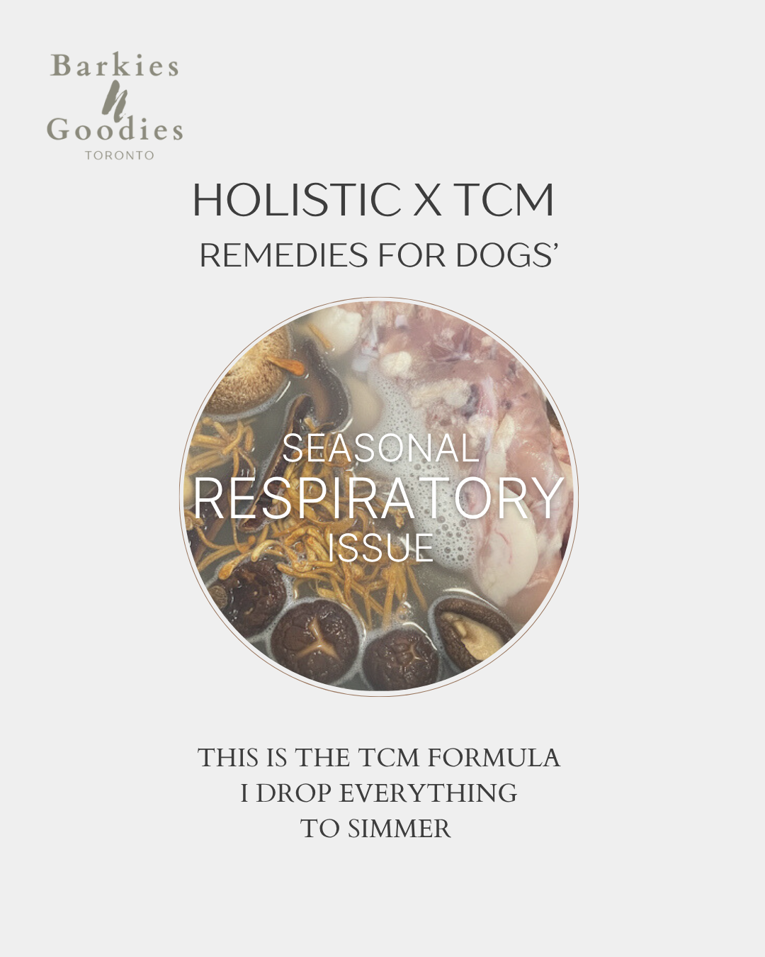 The TCM Secret: Alligator & Mushroom Soup for Canine Respiratory Health