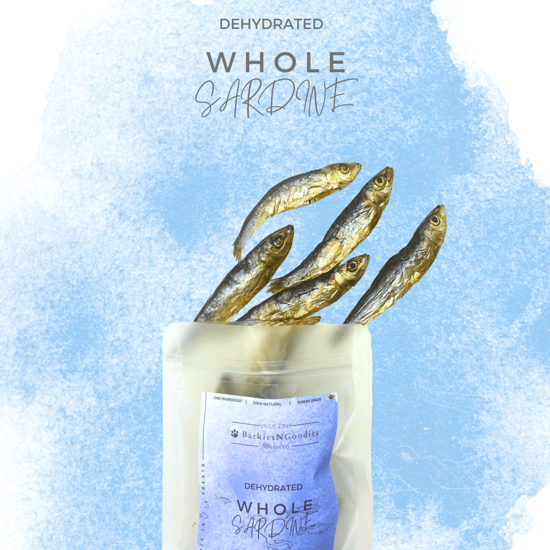 100% Natural Dehydrated Whole Prey Sardine - Air Dry | Nutritious Treats for Dogs, Cats - BarkiesNGoodies