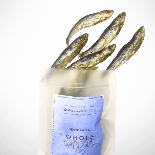 100% Natural Dehydrated Whole Prey Sardine - Air Dry | Nutritious Treats for Dogs, Cats - BarkiesNGoodies
