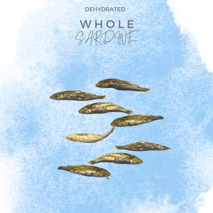 100% Natural Dehydrated Whole Prey Sardine - Air Dry | Nutritious Treats for Dogs, Cats - BarkiesNGoodies