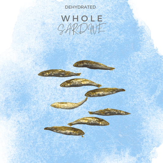 100% Natural Dehydrated Whole Prey Sardine - Air Dry | Nutritious Treats for Dogs, Cats - BarkiesNGoodies