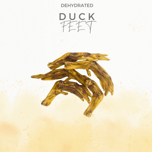 100% Natural Duck Feet - Air Dried | Nutritious Treats for Dogs - BarkiesNGoodies