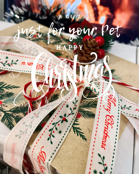 2025 HOLIDAY Gift Set – Limited Edition Treat Box for Dogs & Cats
