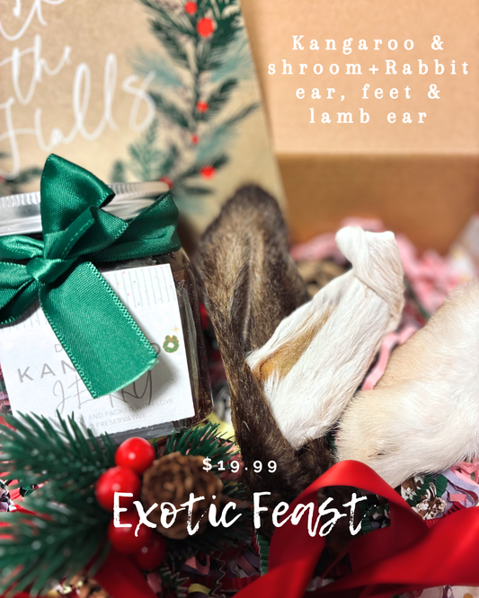 2025 HOLIDAY Gift Set – Limited Edition Treat Box for Dogs & Cats