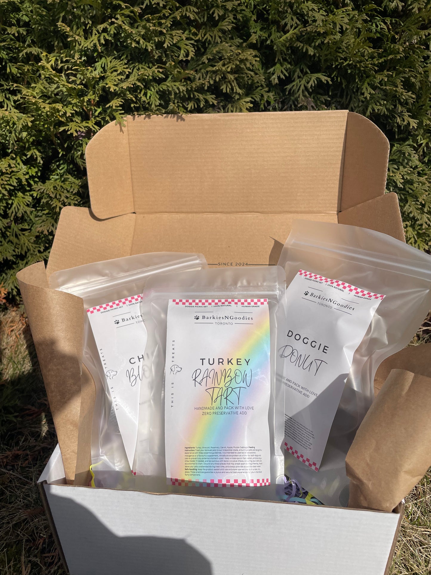 SPRING LIMITED EDITION - Doggie Picnic Box