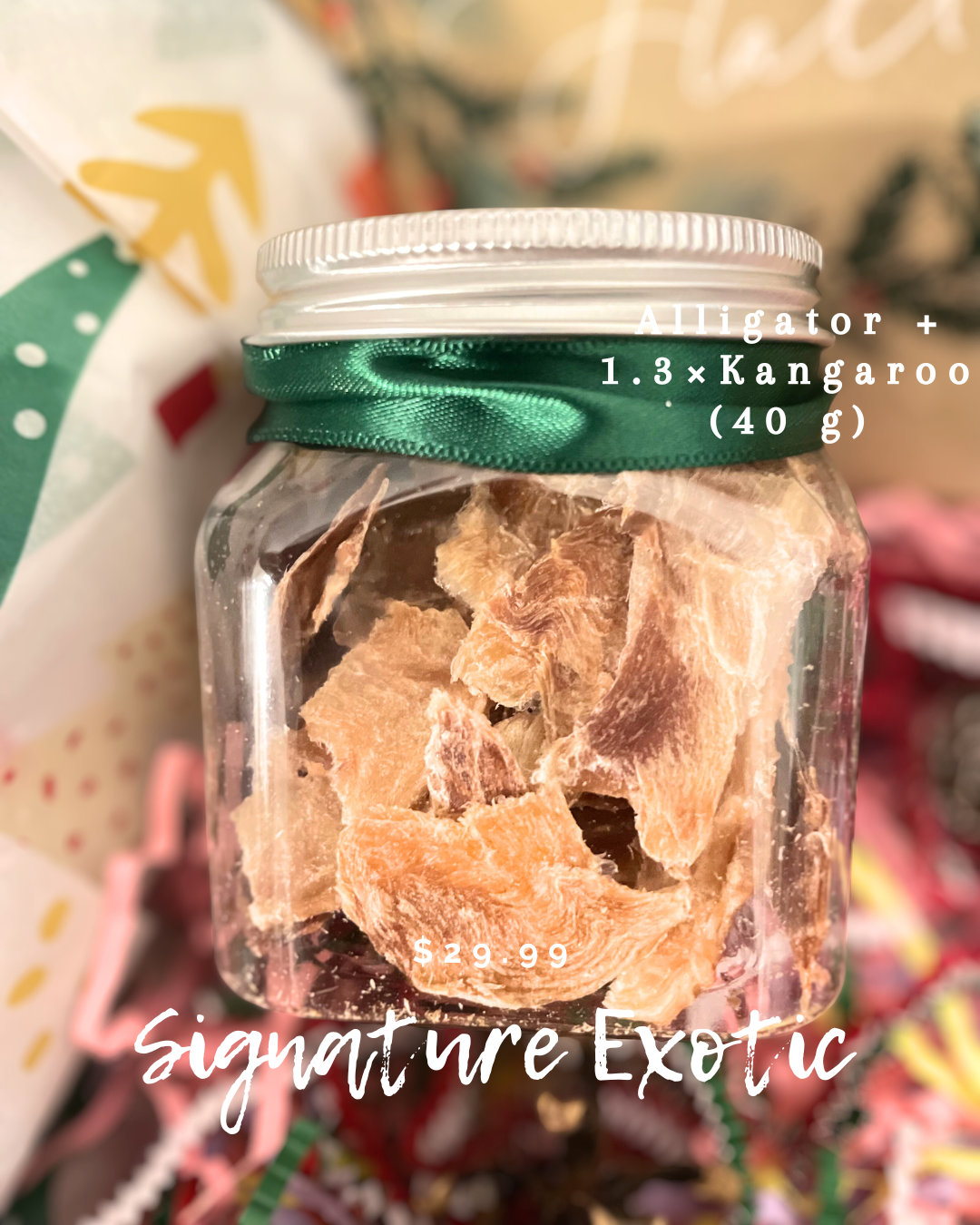 2025 HOLIDAY Gift Set – Limited Edition Treat Box for Dogs & Cats