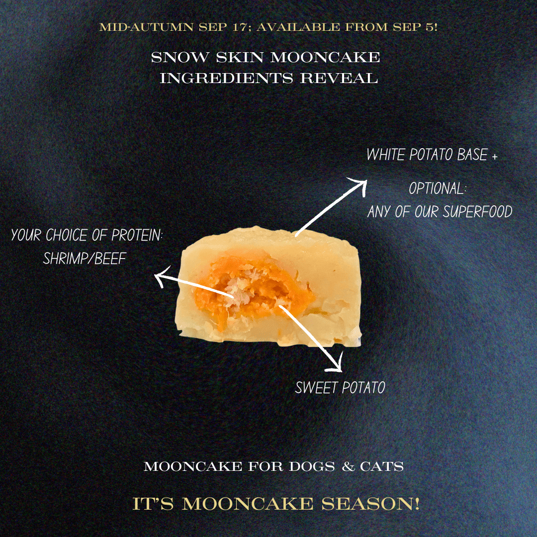 Limited Edition Mooncakes for dogs and cats – Snow Skins Mooncake & Golden Yolk Mooncake - BarkiesNGoodies