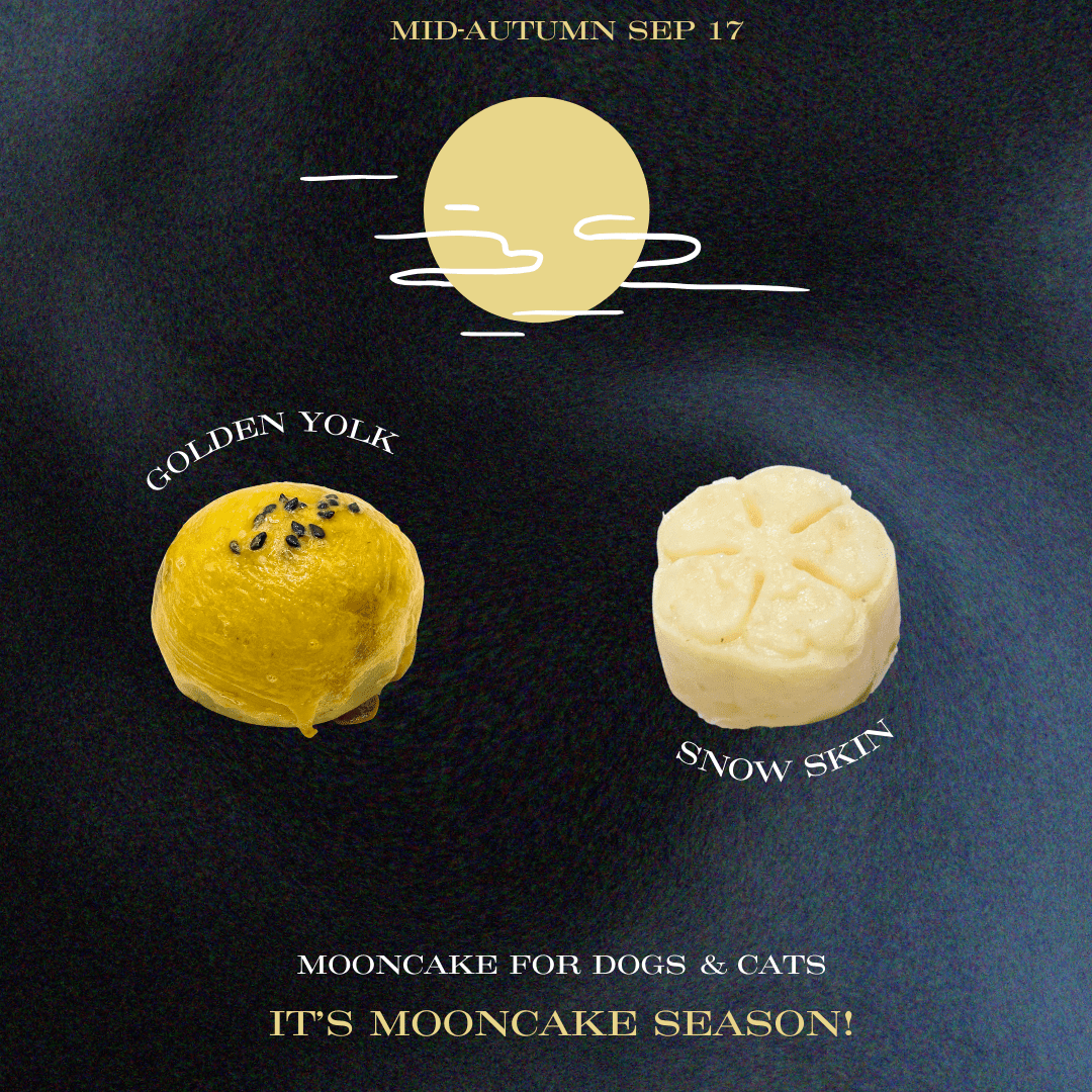 Limited Edition Mooncakes for dogs and cats – Snow Skins Mooncake & Golden Yolk Mooncake - BarkiesNGoodies