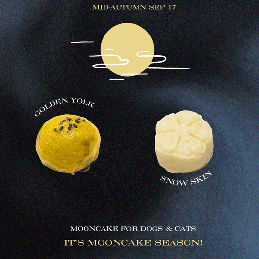 Limited Edition Mooncakes for dogs and cats – Snow Skins Mooncake & Golden Yolk Mooncake - BarkiesNGoodies