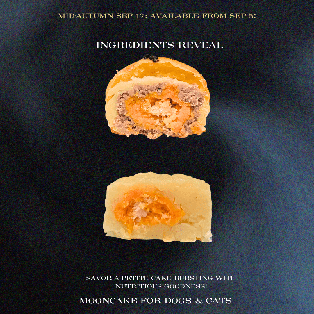 Limited Edition Mooncakes for dogs and cats – Snow Skins Mooncake & Golden Yolk Mooncake - BarkiesNGoodies
