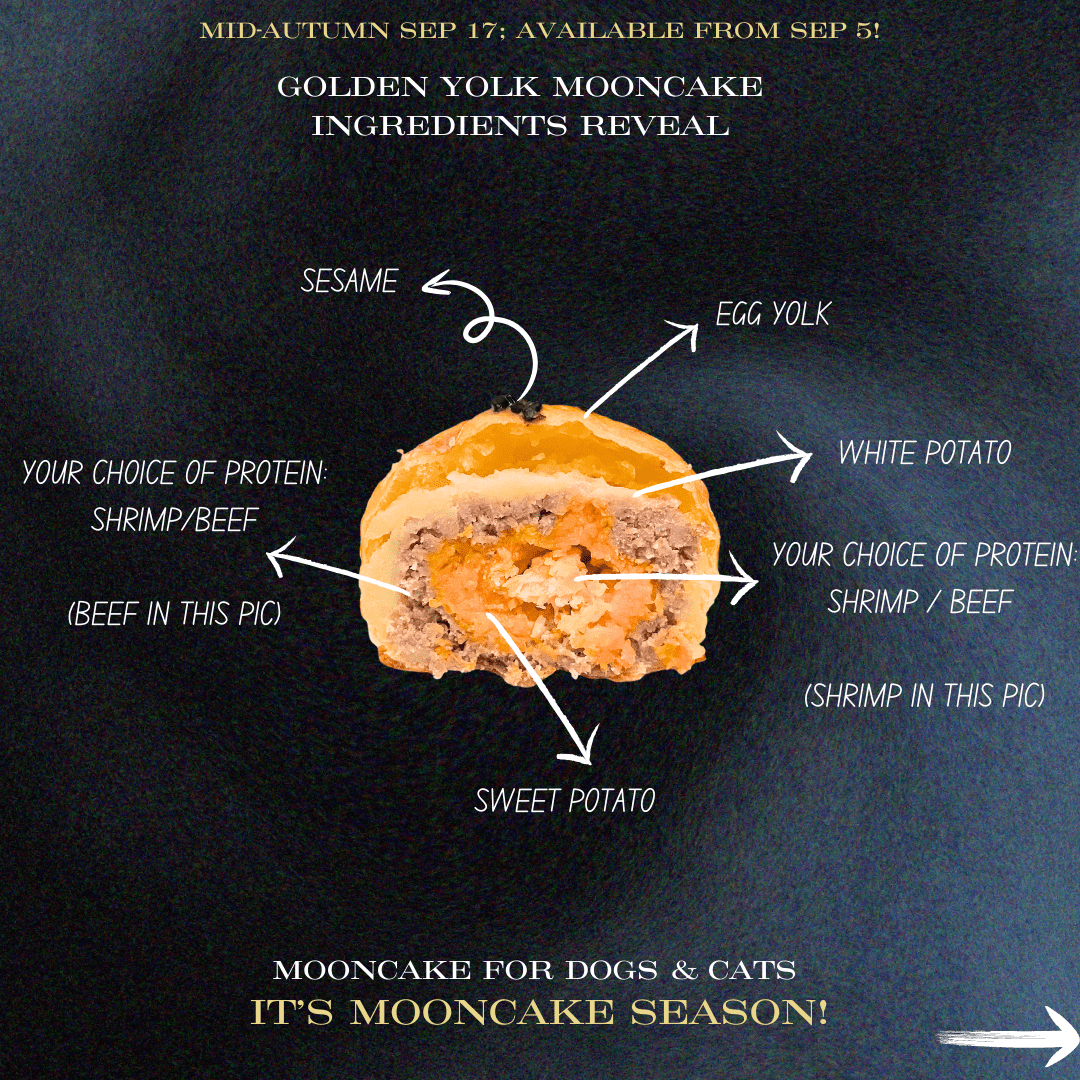 Limited Edition Mooncakes for dogs and cats – Snow Skins Mooncake & Golden Yolk Mooncake - BarkiesNGoodies